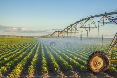 В Нижегородской области в 2018 году введено в сельхозоборот более 600 гектаров мелиорируемых земель 