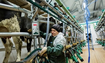 Красноярский край: в Шушенском районе реализуются два приоритетных проекта в сфере животноводства