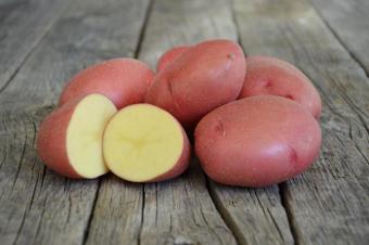 Тюменские селекционеры зарегистрировали новый сорт картофеля