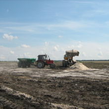 Специалисты из Татарстана представили в Томске опыт по повышению плодородия земель и оздоровления кислых почв путем известкования