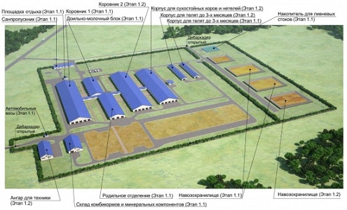 В Башкортостане строят крупный животноводческий комплекс с заводом по производству твёрдых сыров