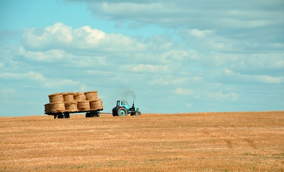 Господдержку сельхозтоваропроизводителей Кировской области увеличили на 100 млн рублей
