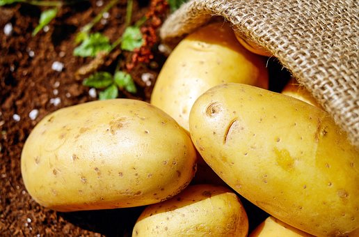 В Красноярском крае будет реализован проект по развитию селекции и семеноводства картофеля