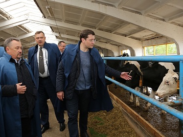 Господдержка фермерства в Нижегородской области в 2019 году будет увеличена