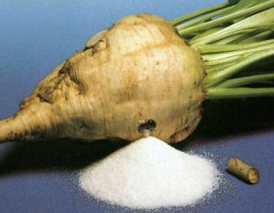 В Башкортостане за сезон произведено 201 тыс. тонн сахара