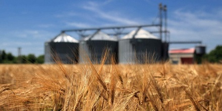 Башкортостан за 2018 год увеличил поставки зерна за рубеж в 5,3 раза к уровню предыдущего года
