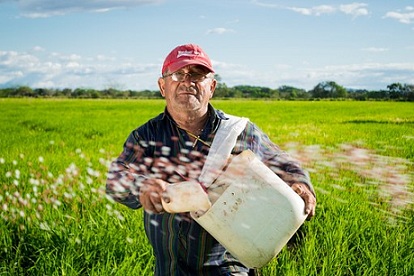 В Казахстане аграрии к началу посевной смогут получить семена бесплатно