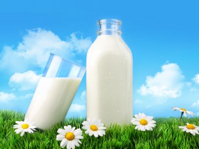 Три составляющих молочного дела