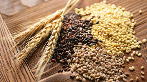 Валовой сбор зерновых  превышает уровень  прошлого года – МСХ