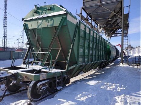 Зерно из Новосибирской области будет отправлено на экспорт в рамках нового национального проекта