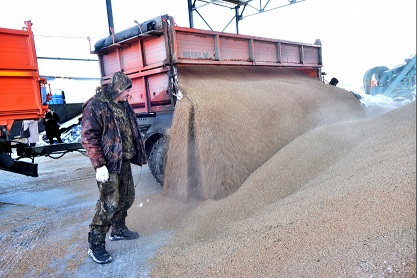 Зерно из Новосибирской области отправлено на экспорт в рамках нового национального проекта