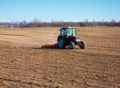 В Новосибирской области на проведение весенне-полевых работ необходимо 6,9 млрд рублей
