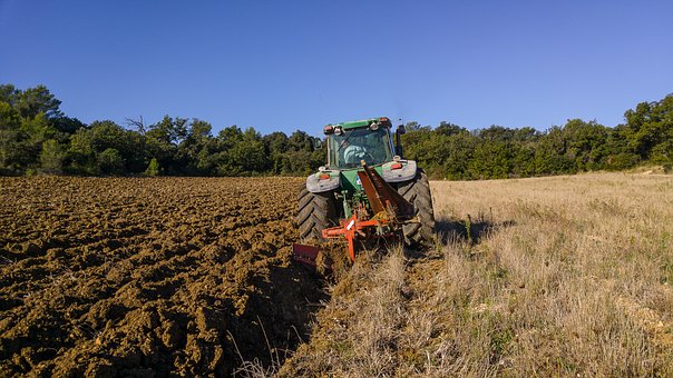 В Пензенской области агрохолдинг введет в оборот более 900 га залежных земель