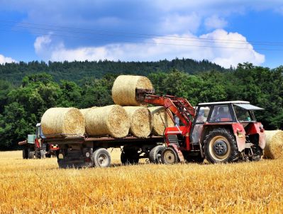 В Татарстане заготовлено более 125 тыс. тонн кормов