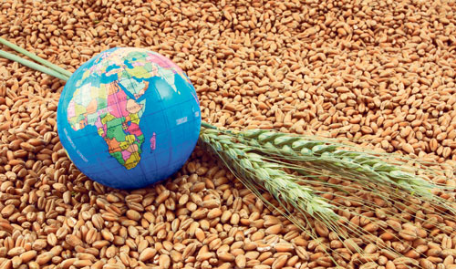 Казахстанский рынок зерна:  итоги и перспективы