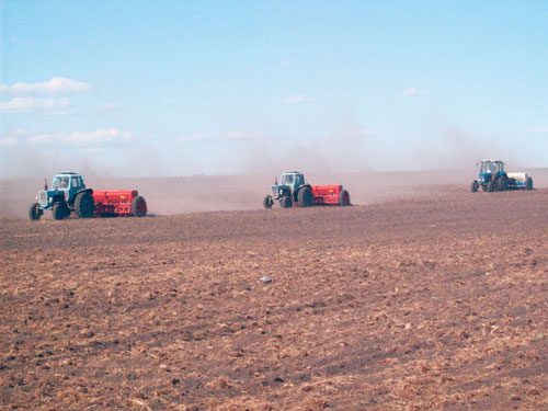 Фермеры зерновых регионов приступили к севу пшеницы