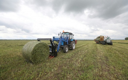Аграрии Новосибирской области приступили к заготовке кормов
