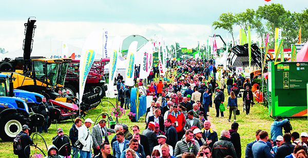 Летние полевые выставки  собирают гостей и участников