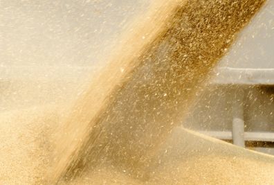 В России намолочено более миллиона тонн зерна нового урожая