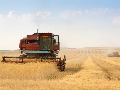 В России собрано более 50 млн тонн зерна