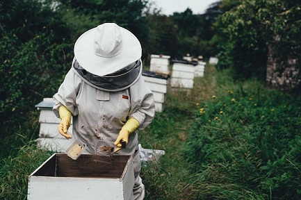 В Томской области провели мастер-класс для пчеловодов