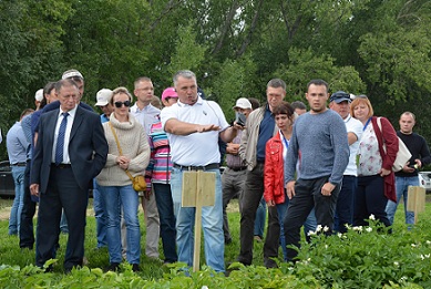 В Челябинской области состоялся День картофельного поля