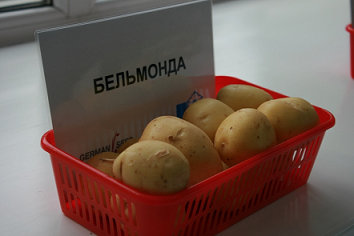 В Красноярском крае состоялся День картофельного поля