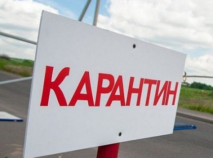 В Казахстане объявлен карантин из-за подозрения на сибирскую язву