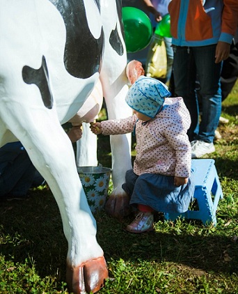 В Башкортостане готовятся к молочному фестивалю