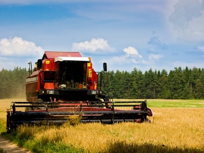 Павлодарская область в числе лидеров по уборке зерновых