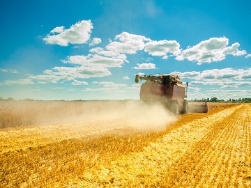 Аграрии Ульяновской области завершают уборку зерновых