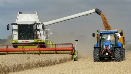 Нижегородские аграрии преодолели отметку в 1 млн т зерна