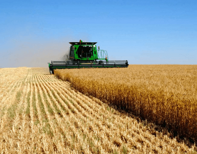 В закромах Башкортостана более 2 млн т зерна нового урожая