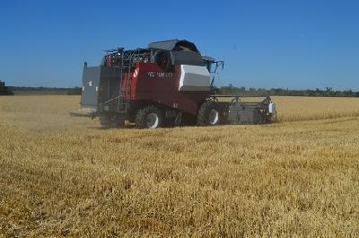 В Саратовской области собрано более 2,5 млн тонн зерна