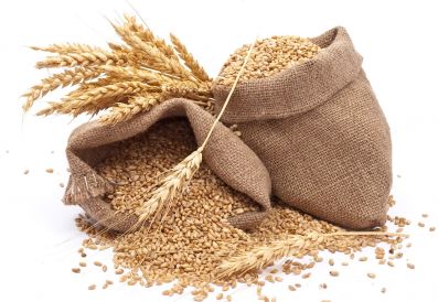 Обзор зернового рынка с 27 июня по 4 июля