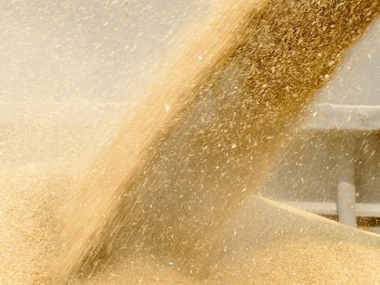 Российские аграрии собрали почти 110 млн тонн зерна