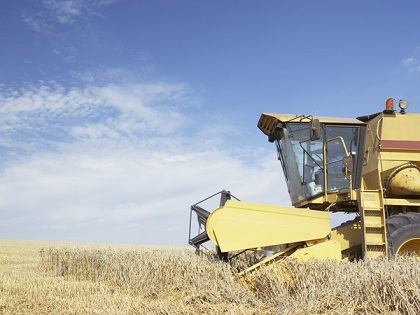 В Курганской области еще два района завершили уборку зерновых