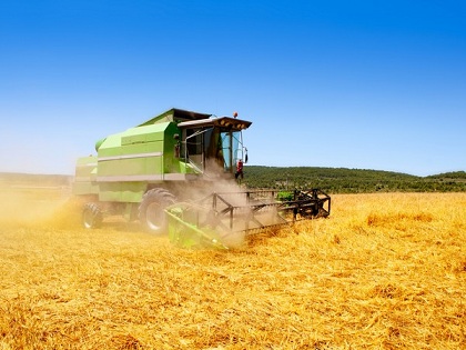 В Казахстане убрано 99,2% площади зерновых культур