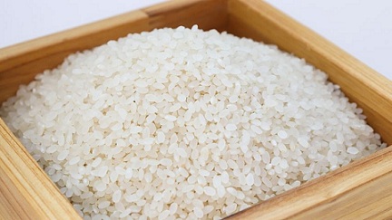 В России намолочено более миллиона тонн риса