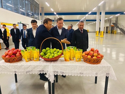 Глава Минсельхоза Казахстана посетил Туркестанскую область