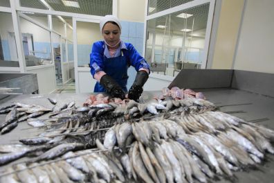 Тюменская область: Ловись, рыбка, большая и маленькая!