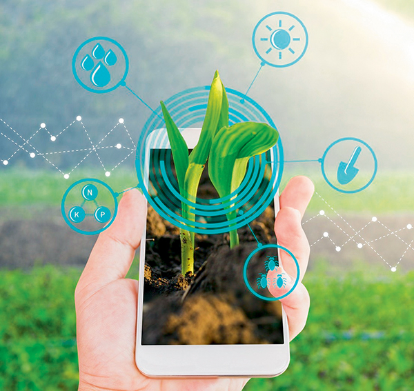 Система управления растениеводством на основе цифровых технологий