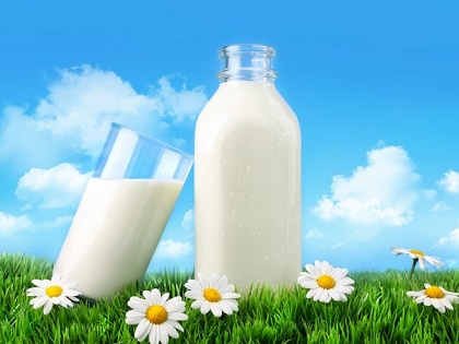 Объем реализации молока в сельхозорганизациях вырос на 8,3%