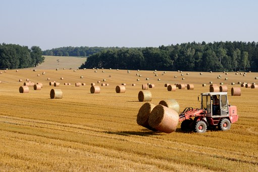 В Омске озвучили предварительные итоги сельскохозяйственного года