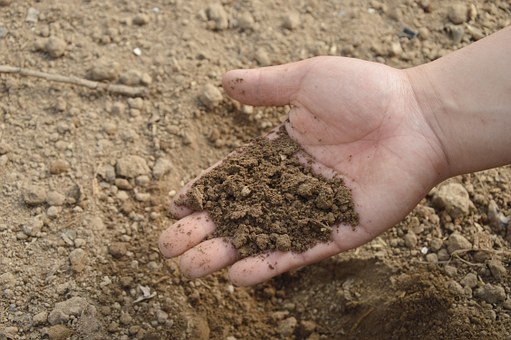 В Челябинской области провели известкование почвы на 3 тыс га