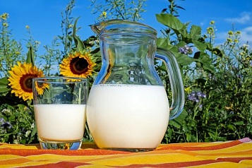 В сельхозорганизациях производство молока выросло на 4,2%