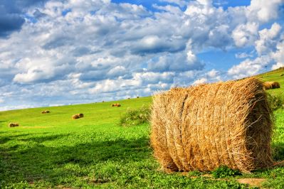 Урожайность сенокосов на юге Челябинской области  в два раза ниже плана