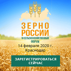 Зерно России - 2020