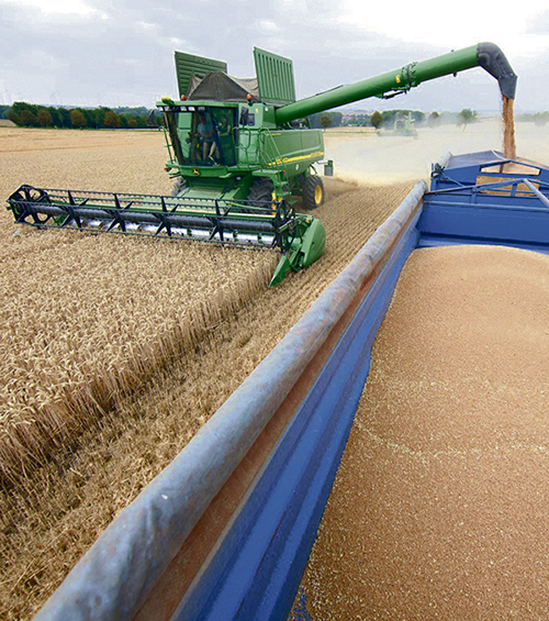 Экспертами снижен прогноз российского экспорта пшеницы