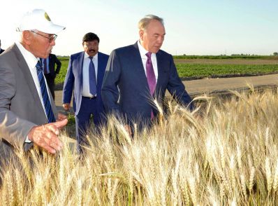 Нурсултан Назарбаев посетил производственное хозяйство ТОО «Байсерке-Агро»